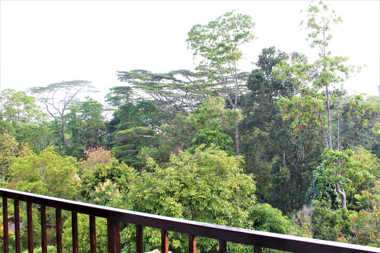 E-Stay Hanthana Kandy Dış mekan fotoğraf